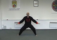 Tai Chi & Viet Tai Chi